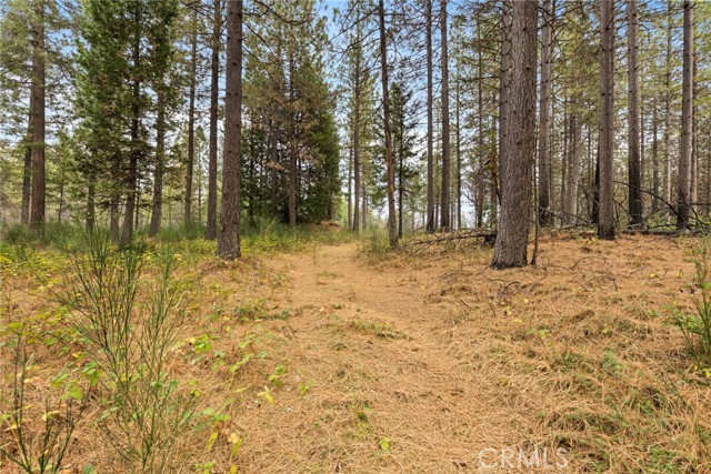 Detail Gallery Image 5 of 16 For 0 Old Forbestown Rd, Forbestown,  CA 95941 - – Beds | – Baths