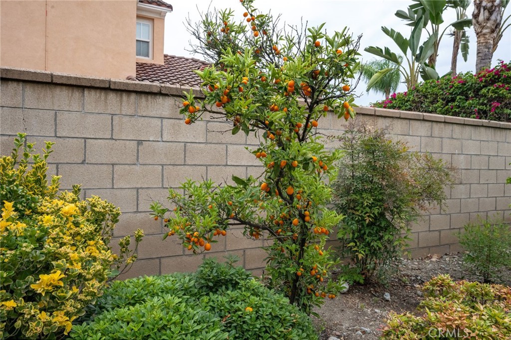 https://media.crmls.org/medias/df4c961a-6d22-4267-a546-698264ed8eb5.jpg?preset=X-Large