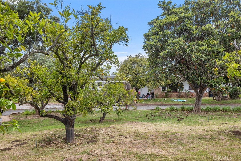 MLS #SW25230663 image #2