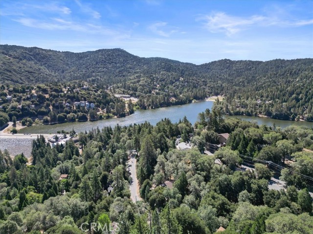 107 Pine Ridge, Crestline, CA 92325