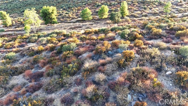 31355 Wild Lilac, Menifee CA: https://media.crmls.org/medias/df5cc398-4798-44f4-9117-df25bb931a00.jpg