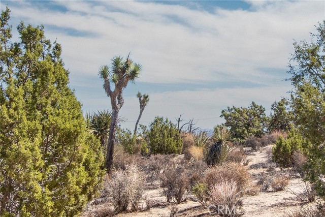 Detail Gallery Image 12 of 15 For 56600 Duarte St, Yucca Valley,  CA 92284 - – Beds | – Baths