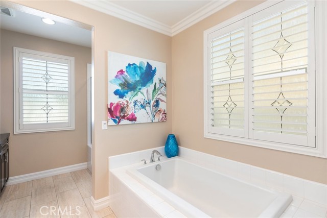 Downstairs Master Bath