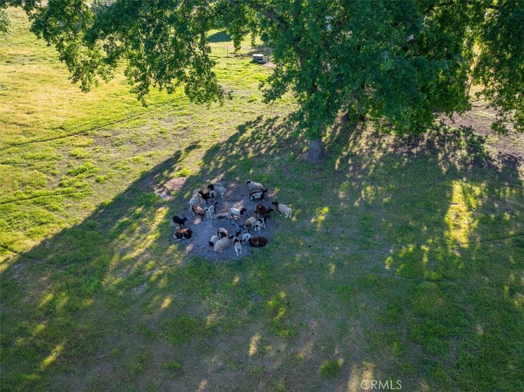 https://media.crmls.org/medias/df75ed5b-b1f5-4edc-8fb0-89d3656b2566.jpg?preset=X-Large