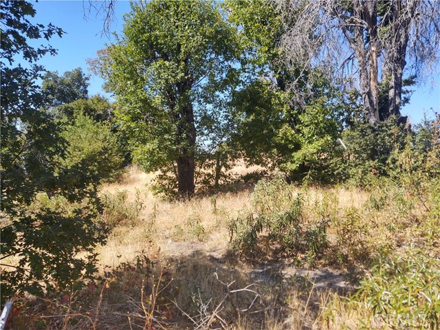 363 Raccoon Road, Berry Creek, California 95916, ,Land,For Sale,363 Raccoon Road,CROR24029245