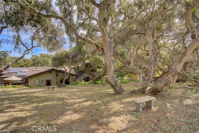 Detail Gallery Image 56 of 58 For 1785 Martingale Ave. Ave, Los Osos,  CA 93402 - 5 Beds | 3/1 Baths