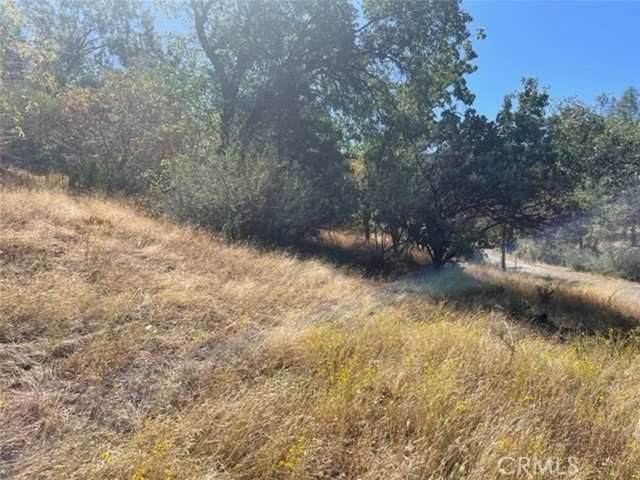 Detail Gallery Image 10 of 17 For 0 Lot 2 Peckinpah Acres Dr, North Fork,  CA 93643 - – Beds | – Baths
