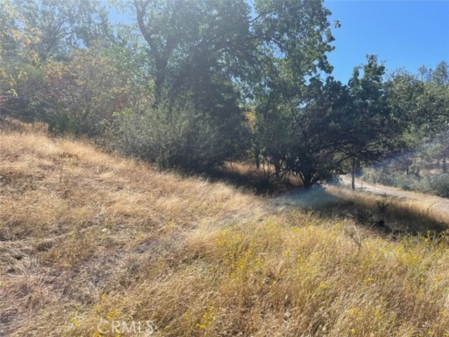 Detail Gallery Image 10 of 17 For 0 Lot 2 Peckinpah Acres Dr, North Fork,  CA 93643 - – Beds | – Baths