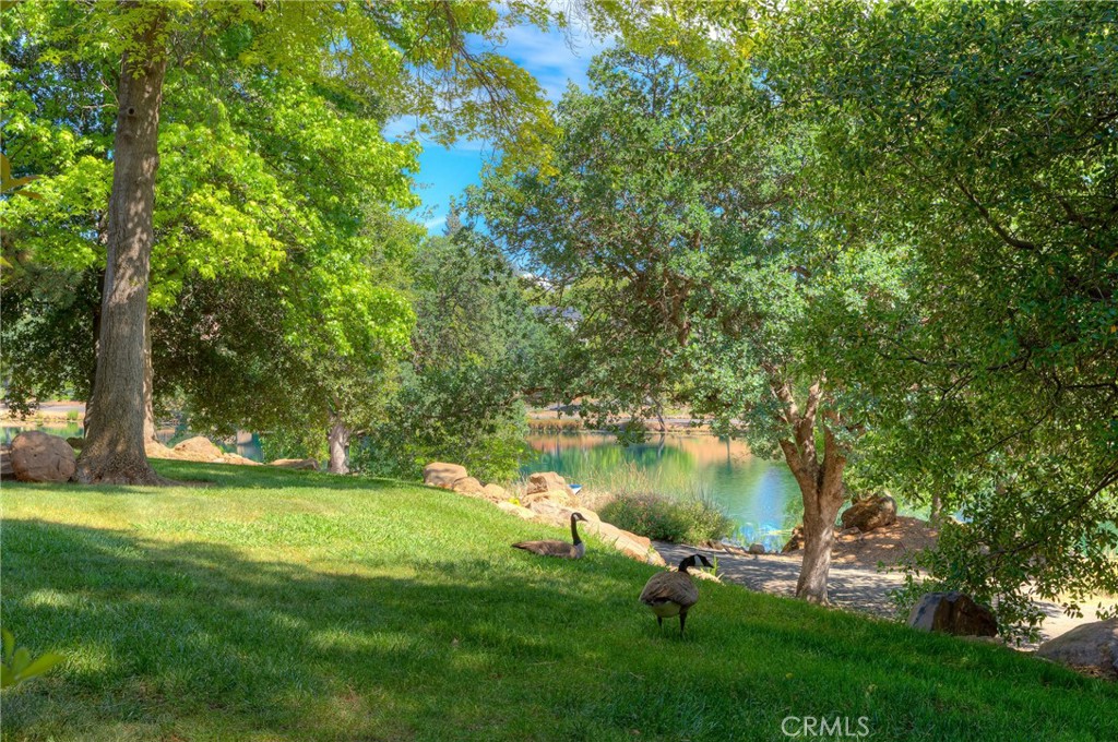 https://media.crmls.org/medias/df85fe8a-6c36-49ab-a0c9-fff092ebefe4.jpg?preset=X-Large