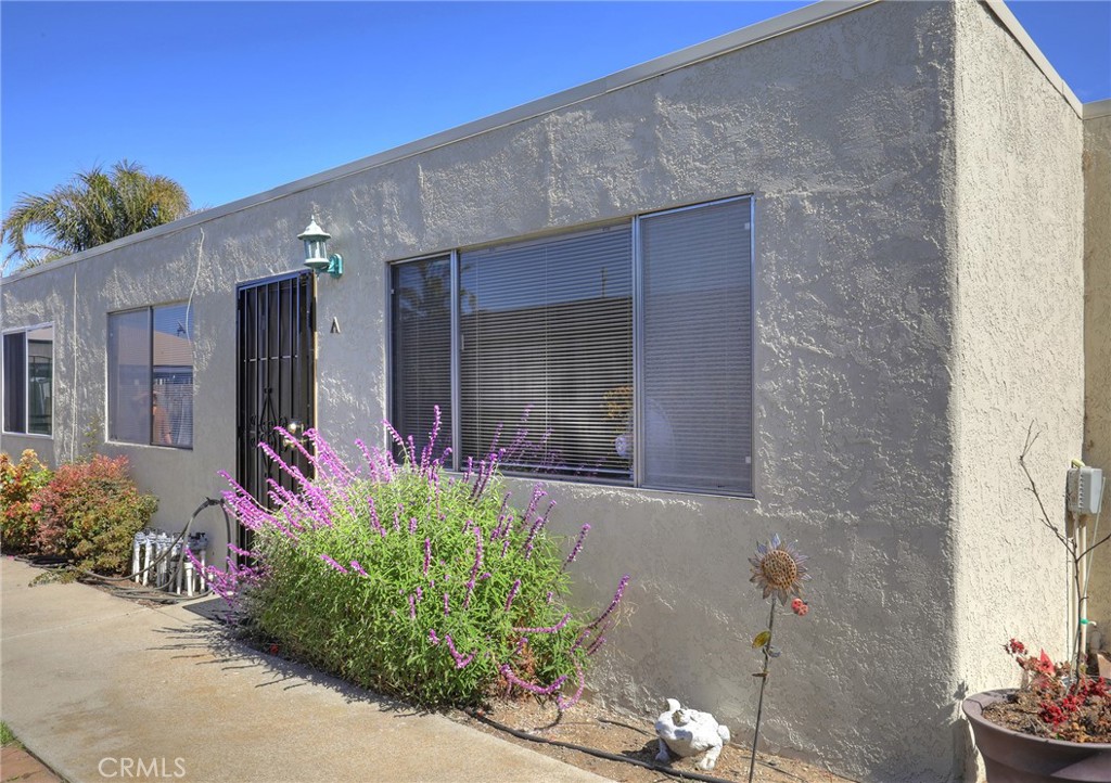 MLS #PI25256615 image #11