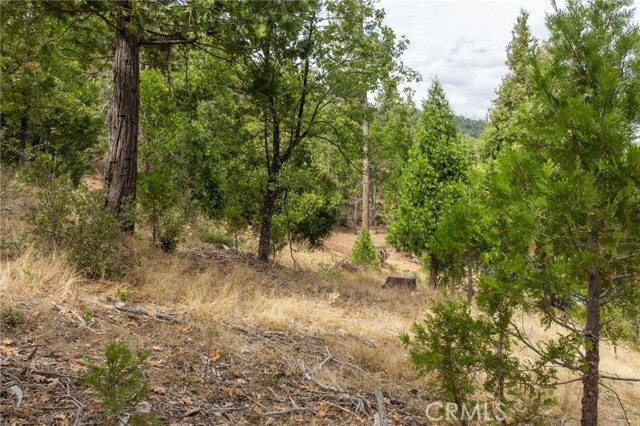 Detail Gallery Image 27 of 55 For 26 Timberview, North Fork,  CA 93643 - – Beds | – Baths