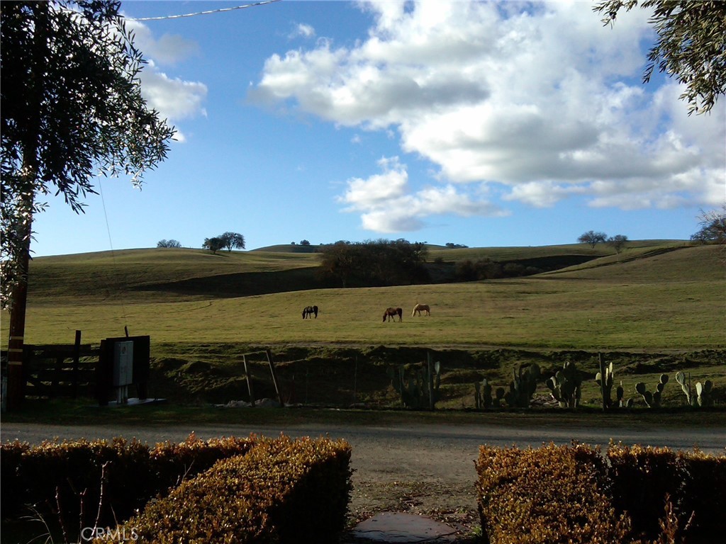 MLS #NS25280666 image #8