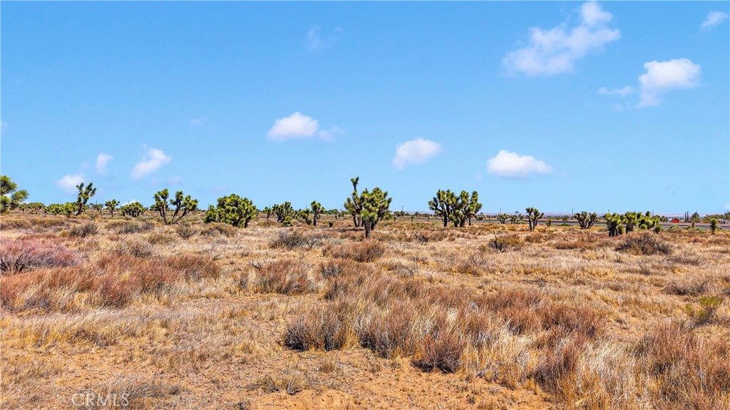 MLS #CV25127599 img 13