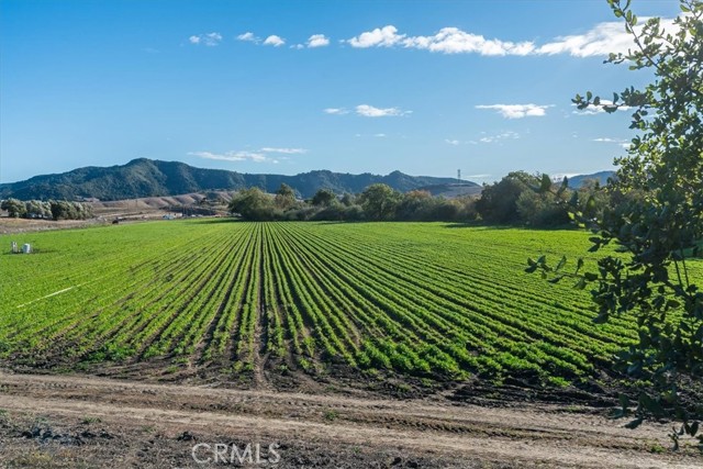 Detail Gallery Image 54 of 59 For 47 Los Palos Dr, San Luis Obispo,  CA 93401 - 3 Beds | 2 Baths