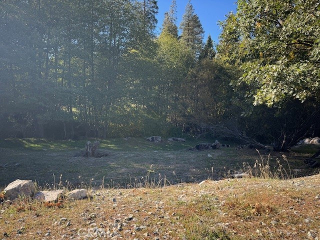 Detail Gallery Image 7 of 7 For 430 Alder Ln, Cedar Glen,  CA 92321 - – Beds | – Baths