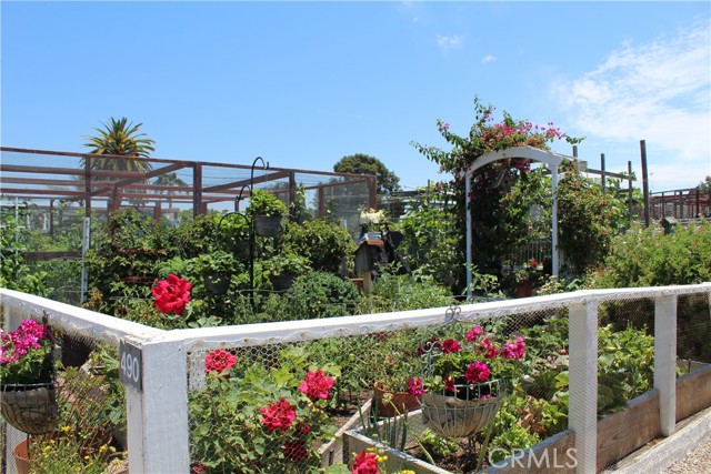 Take up Gardening...rent a space.