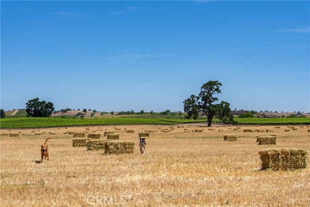 Detail Gallery Image 1 of 33 For 5275 Camp 8 Rd, Paso Robles,  CA 93446 - 12 Beds | 7/1 Baths