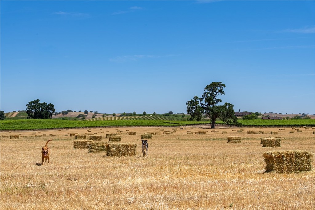 MLS #NS25115612 image #4