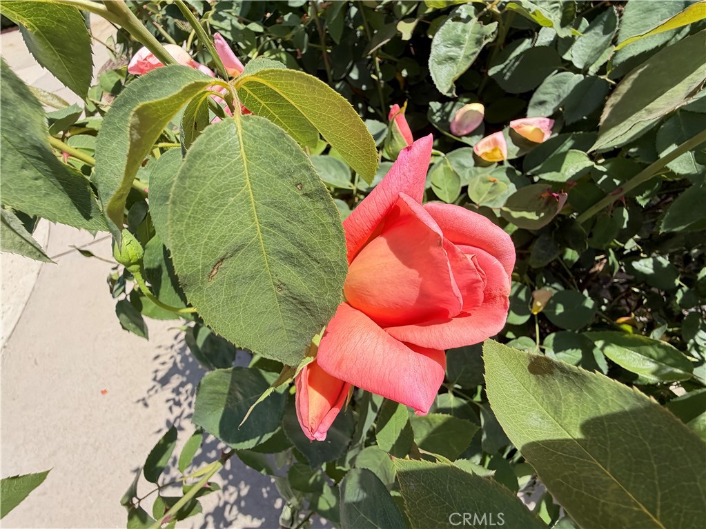 https://media.crmls.org/medias/dfa8326e-8601-4d71-b4c7-bba51d1d167e.jpg?preset=X-Large