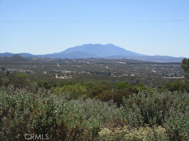 38111 Manzanita Mountain Lane, Anza CA: https://media.crmls.org/medias/dfaa2b13-086b-478d-8d4a-5d669152ee8d.jpg