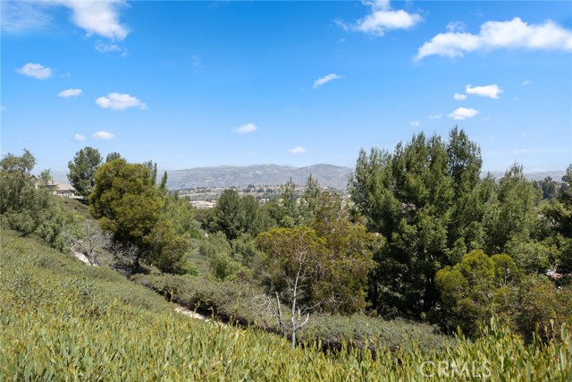 Detail Gallery Image 33 of 33 For 1268 S Night Star Way, Anaheim Hills,  CA 92808 - 4 Beds | 3/1 Baths