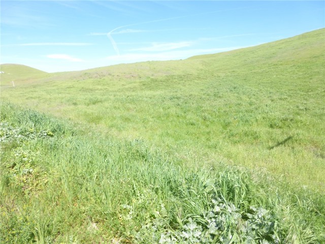 Detail Gallery Image 22 of 42 For 0 Douglas Rd. (Lot 42), San Miguel,  CA 93451 - – Beds | – Baths