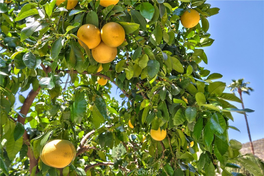 https://media.crmls.org/medias/dfbb94cb-9089-4450-bc19-bcda53b19734.jpg?preset=X-Large