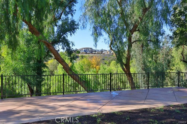 24944 JIM BRIDGER Road, Hidden Hills CA: https://media.crmls.org/medias/dfbcd745-1bee-4059-9c47-c59a91b5b78f.jpg