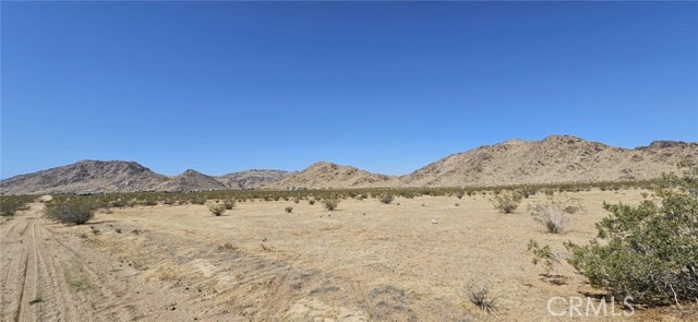 Front Image Thumbnail for CRHD25278636