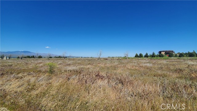 Detail Gallery Image 2 of 24 For 0 263rd St West North of Ave C13, –,  CA 93536 - – Beds | – Baths