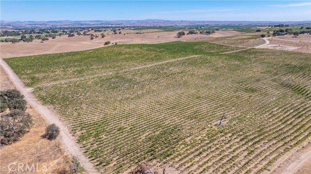 4825 Mill Road, Paso Robles CA: https://media.crmls.org/medias/dfc85a93-a6a8-4ad3-86a5-44d4551ad3e2.jpg