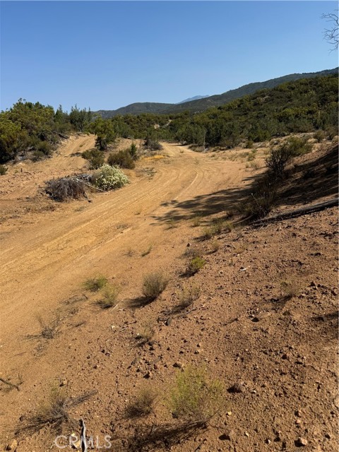 20 Comanche Trail, Anza, California 92539, ,Land,For Sale,20 Comanche Trail,CRSW22245603