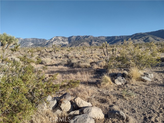 Detail Gallery Image 3 of 10 For 15 Tate Ln, Lucerne Valley,  CA 92356 - – Beds | – Baths