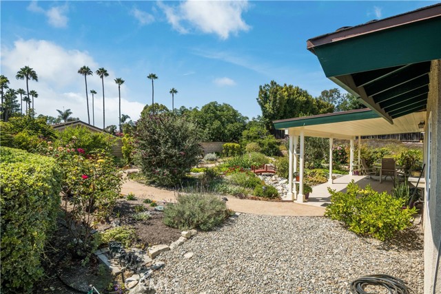 Beautiful walking garden