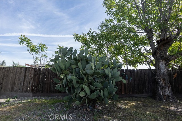 Detail Gallery Image 50 of 59 For 327 Yuba, Orland,  CA 95963 - 5 Beds | 2 Baths