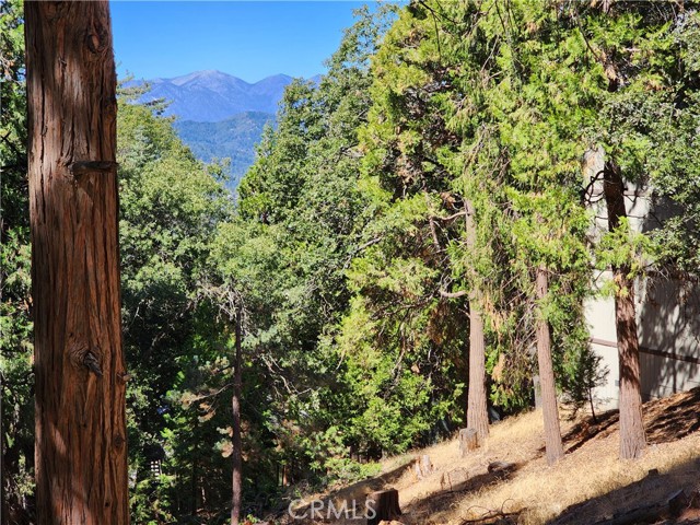 Detail Gallery Image 6 of 13 For 0 North Rd, Twin Peaks,  CA 92391 - – Beds | – Baths