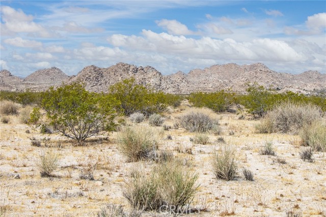 7200 Sun View Road, Joshua Tree, California 92252, ,Land,For Sale,7200 Sun View Road,CRJT23113058