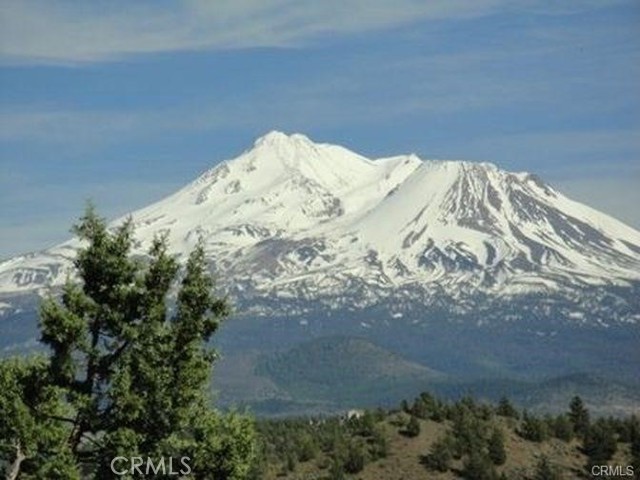 Front Image Thumbnail for CROR25264389