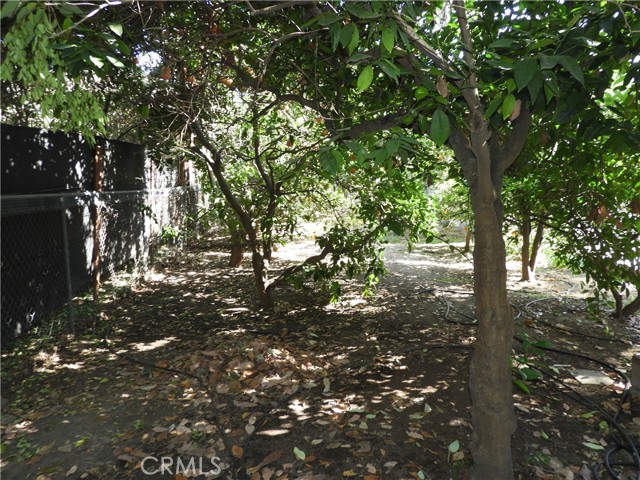 Detail Gallery Image 8 of 15 For 1554 Las Lunas St, Pasadena,  CA 91106 - 3 Beds | 2 Baths