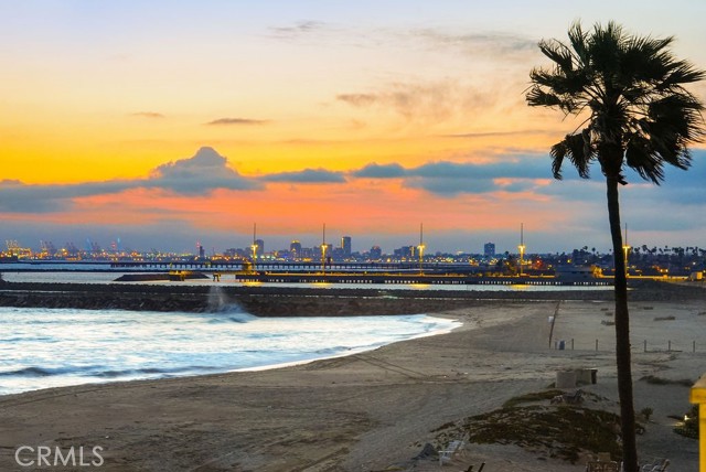 105 A Surfside Avenue, Surfside CA: https://media.crmls.org/medias/dfd6d9be-ab43-445d-9c62-d1493e22ab1e.jpg
