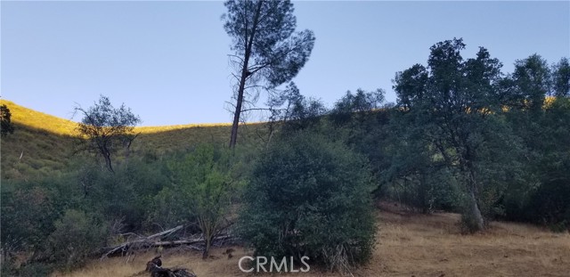 6321 Mosher Road, Mariposa, California 95338, ,Land,For Sale,6321 Mosher Road,CRFR23204511