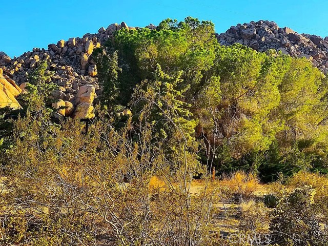 66058 Foothill Drive, Joshua Tree, California 92252, ,Land,For Sale,66058 Foothill Drive,CROC23216688