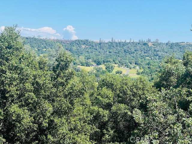 Detail Gallery Image 33 of 75 For 8697 Fraguero Rd, Sonora,  CA 95370 - 4 Beds | 2/1 Baths