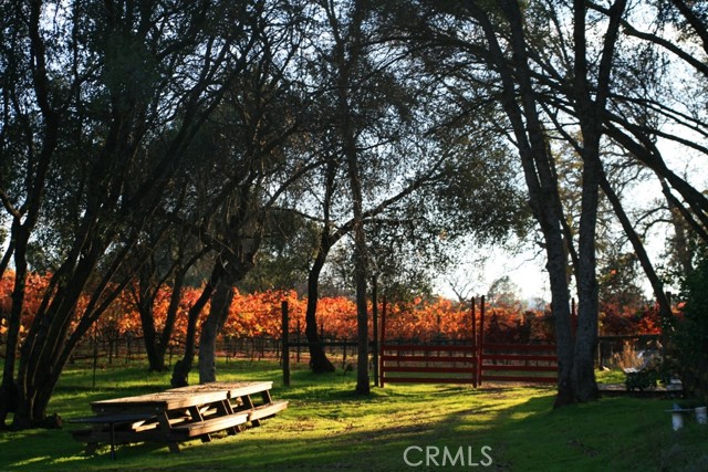 Detail Gallery Image 44 of 44 For 49610 House Ranch Rd, O Neals,  CA 93645 - 3 Beds | 2 Baths