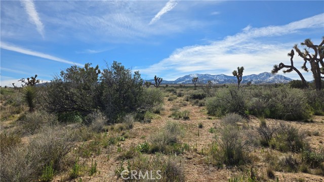 Detail Gallery Image 35 of 50 For 0 Fort Tejon Rd Vicinity 181st St E, Llano,  CA 93544 - – Beds | – Baths