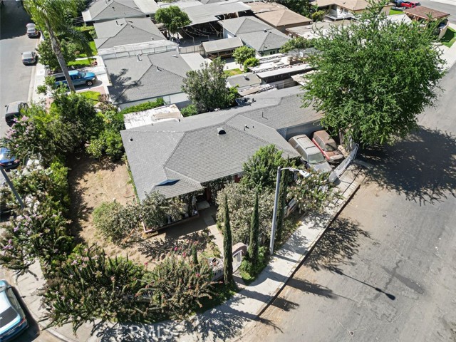 12454 Famosa photo 21