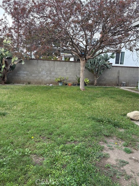 MLS #CV25215707 image #10