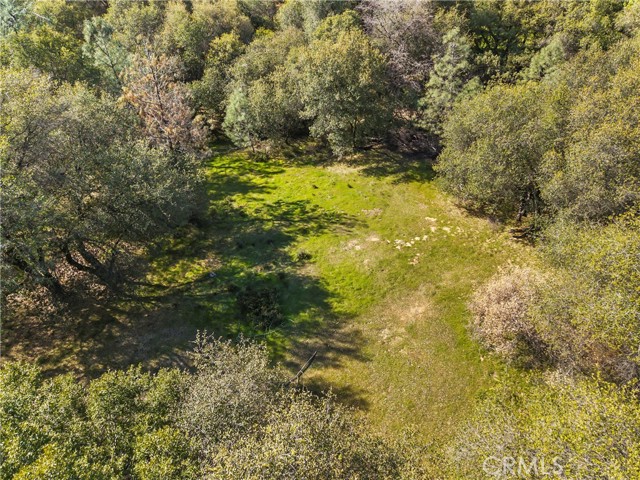 Detail Gallery Image 7 of 32 For 1371 Moccasin Trl, Placerville,  CA 95667 - – Beds | – Baths