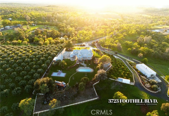 Front Image Thumbnail for CRSN25278784