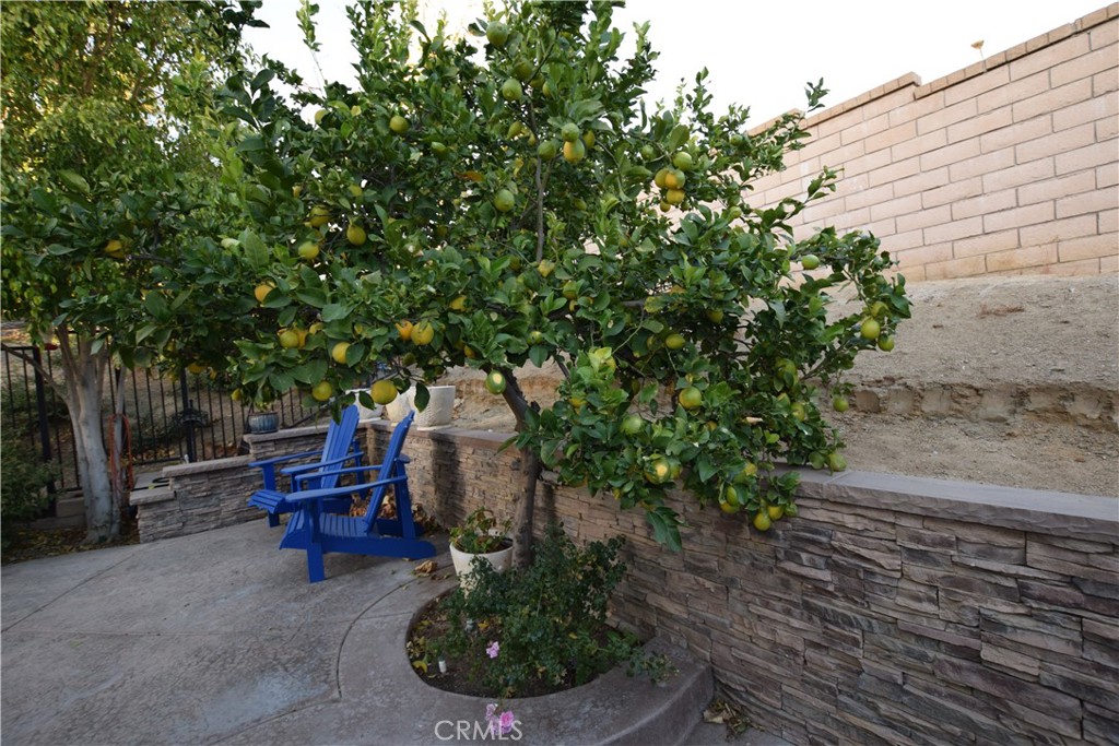 https://media.crmls.org/medias/dff48f4e-9b5e-4a65-b23b-28f15d319e77.jpg?preset=X-Large